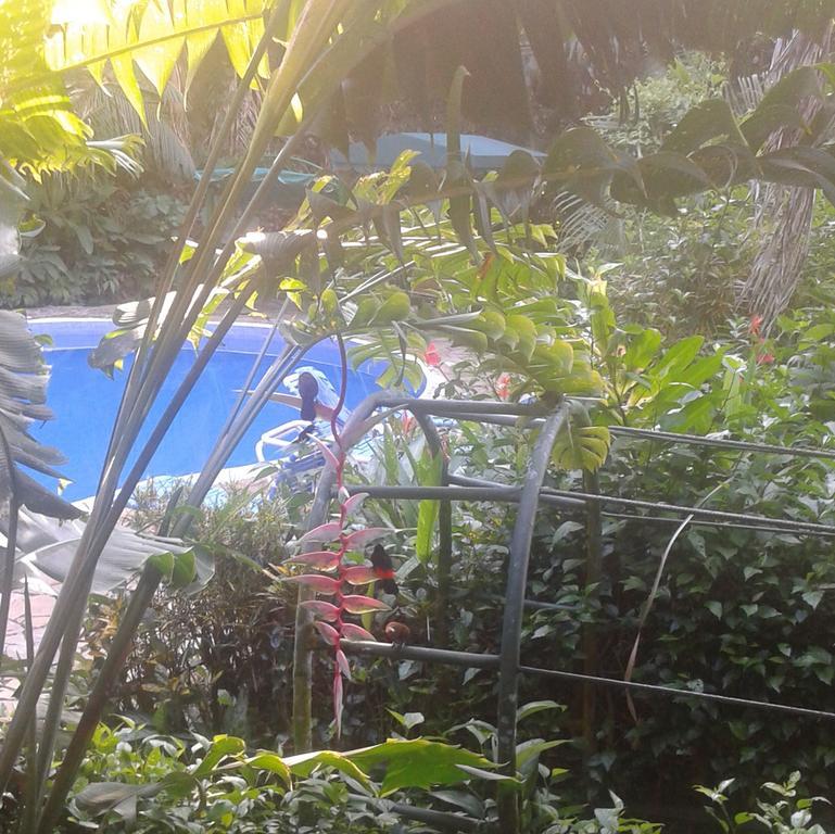 Jungle Villa Manuel Antonio Kültér fotó