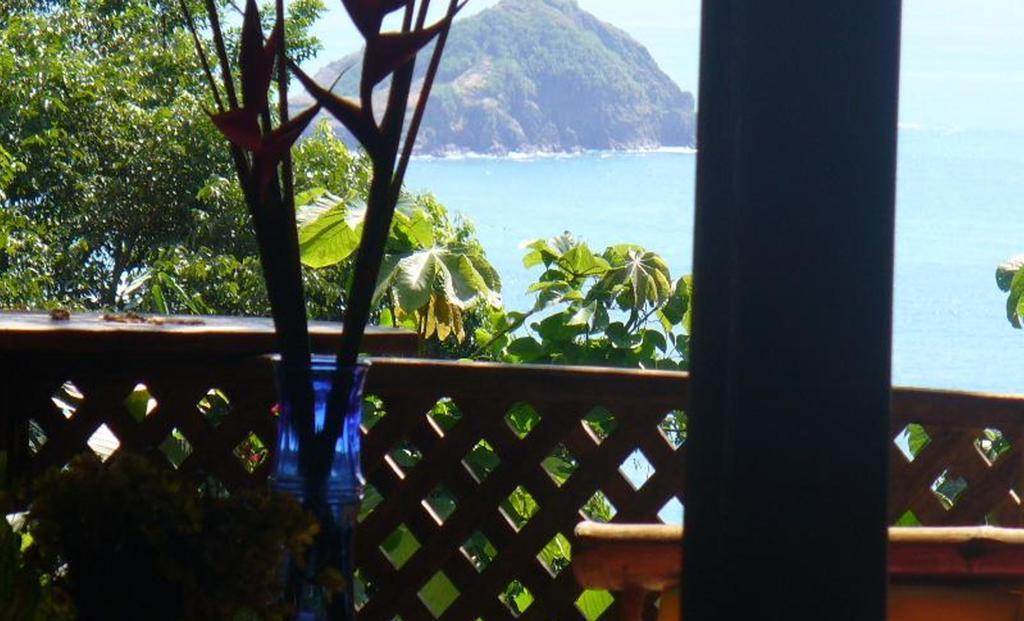 Jungle Villa Manuel Antonio Kültér fotó