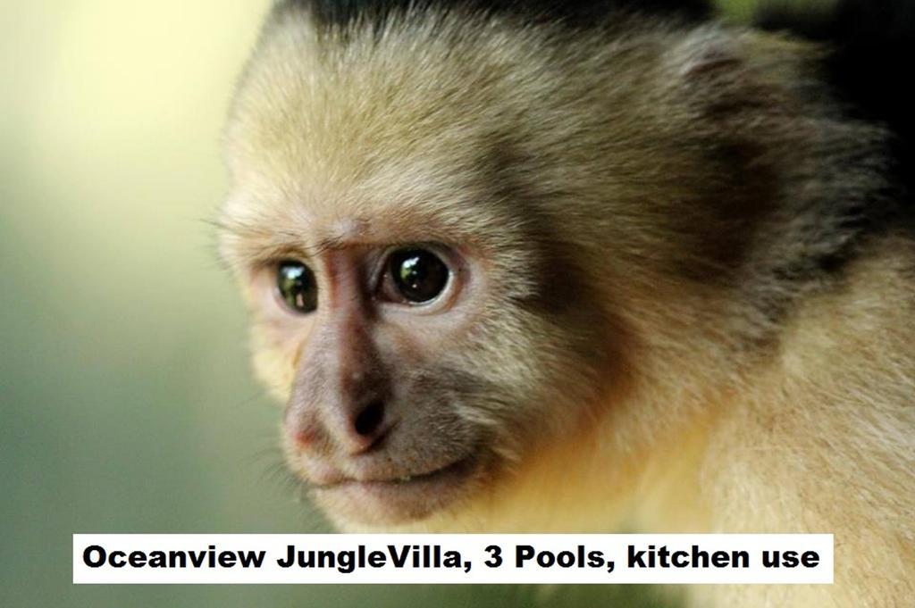 Jungle Villa Manuel Antonio Kültér fotó