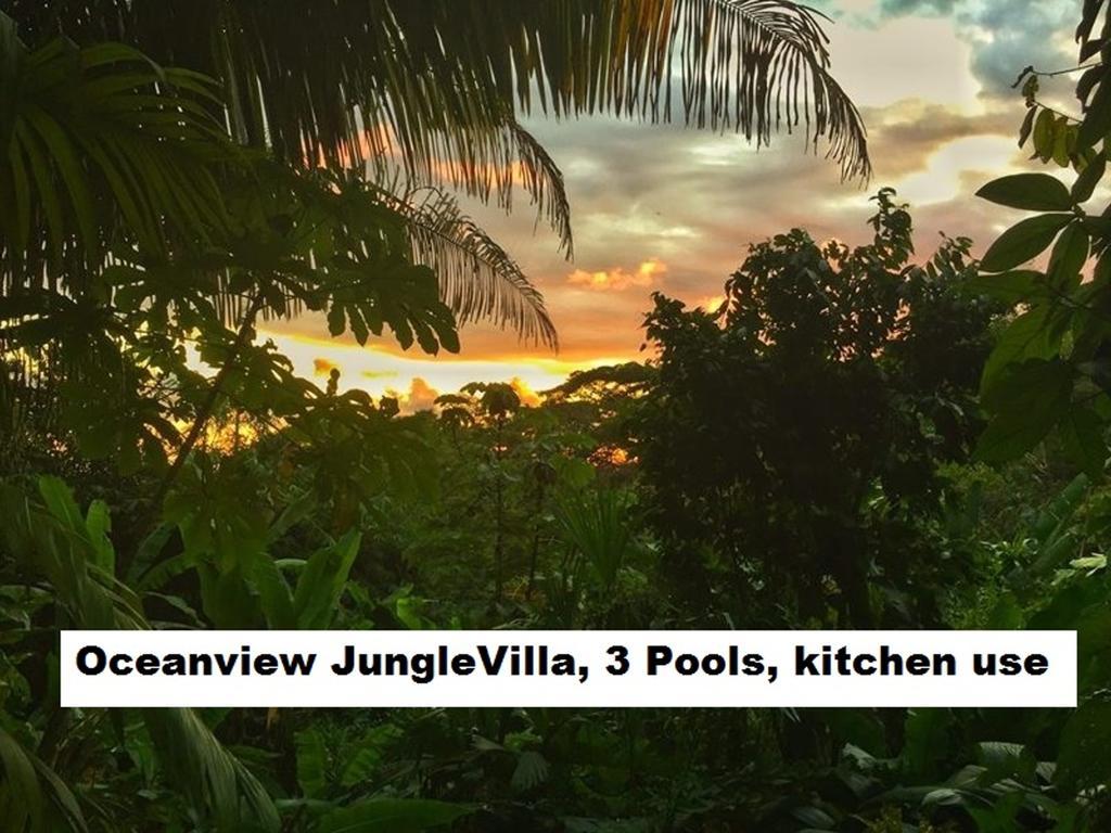 Jungle Villa Manuel Antonio Kültér fotó