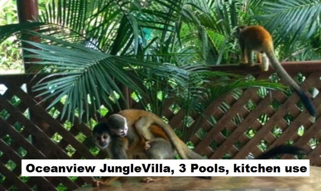 Jungle Villa Manuel Antonio Kültér fotó