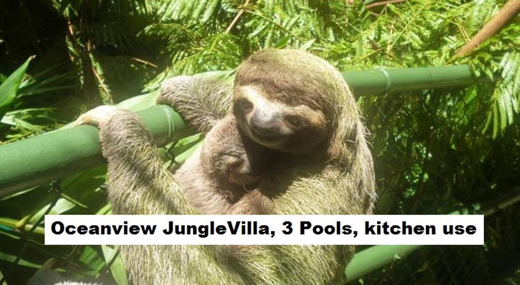 Jungle Villa Manuel Antonio Kültér fotó